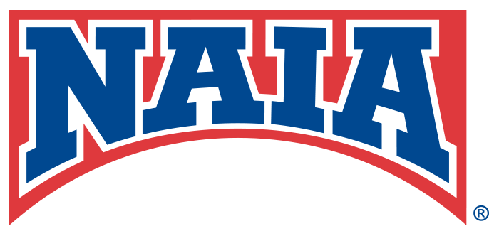 NAIA_Bridge_logo